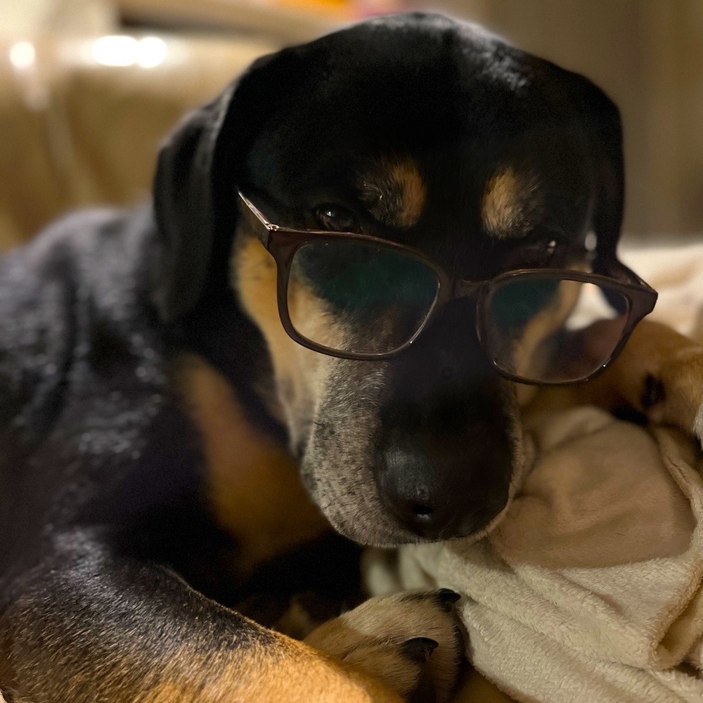 Meet your Posher, Walter